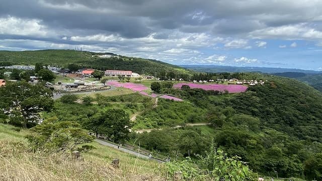 千葉県富津市のマザー牧場