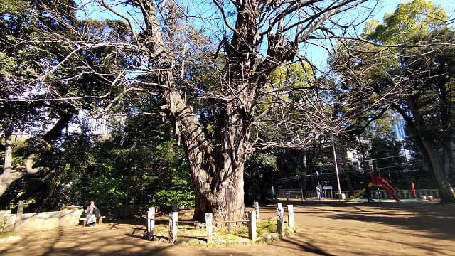 東京都港区の浅野土佐守邸跡