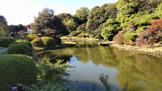 東京都文京区の小石川植物園