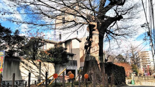 東京都文京区の幸田露伴宅跡