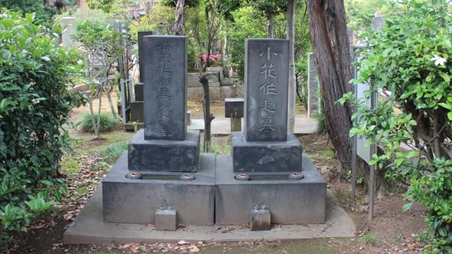 東京都台東区の小花作助墓
