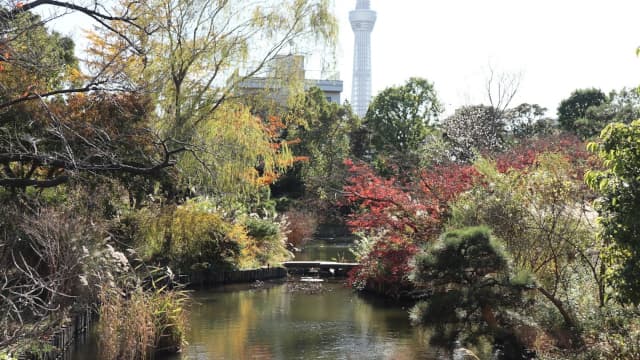 東京都墨田区の向島百花園