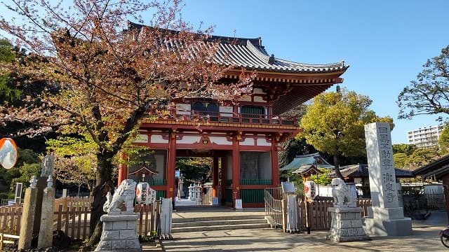 東京都目黒区の瀧泉寺（目黒不動尊）