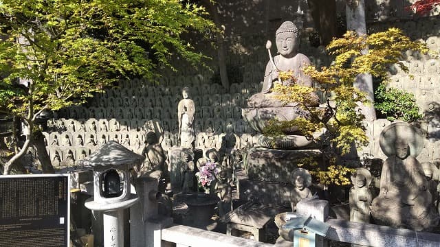 東京都目黒区の大圓寺