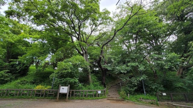 東京都大田区の宝萊山古墳
