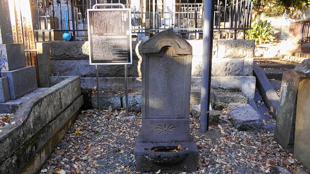 東京都大田区の金保元泰墓