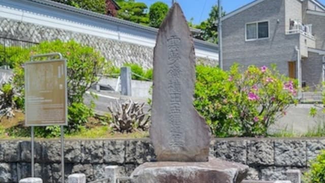 東京都八王子市の植田孟縉墓