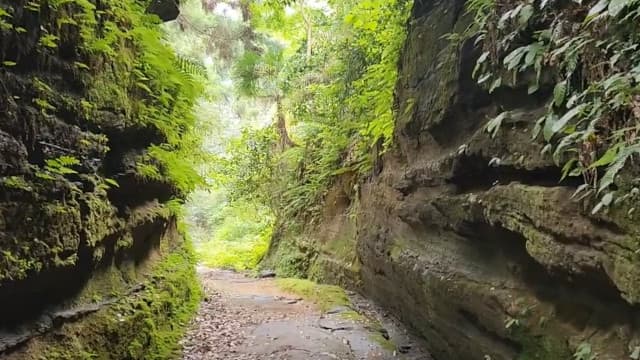 神奈川県の朝夷奈切通