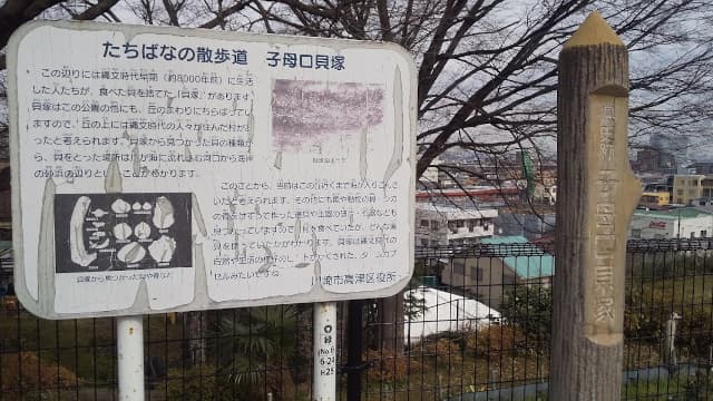 神奈川県川崎市の子母口貝塚