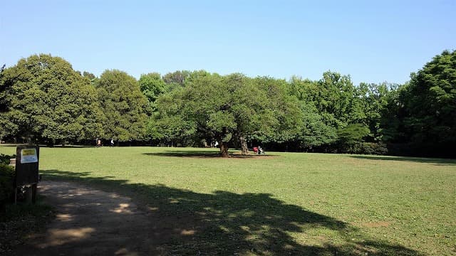 神奈川県川崎市の東高根遺跡