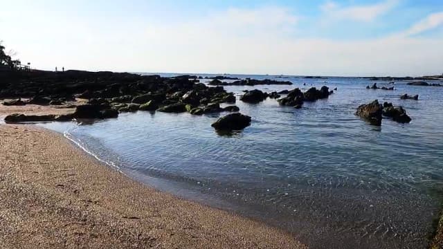 神奈川県横須賀市の天神島、笠島及び周辺水域