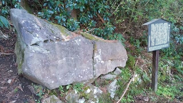 神奈川県小田原市の江戸城石垣石丁場跡