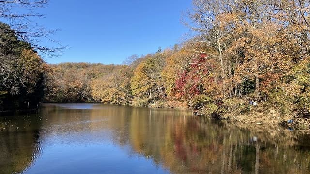神奈川県秦野市の震生湖