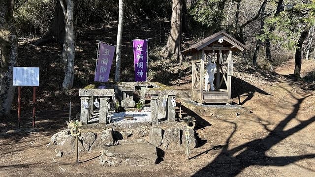 神奈川県南足柄市の足柄明神