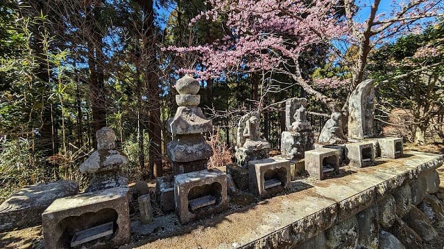 神奈川県足柄上郡の最明寺史跡公園