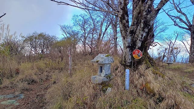 神奈川県足柄上郡の檜洞丸