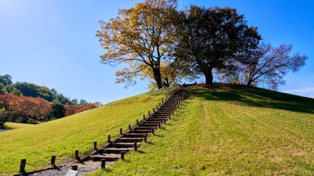 山梨県甲府市の大丸山古墳