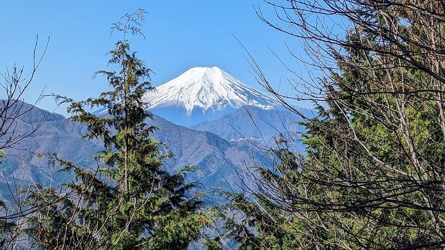 山梨県大月市の高畑山