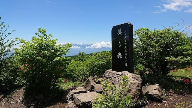 山梨県北杜市の美し森
