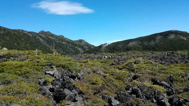 長野県南佐久郡の北横岳坪庭