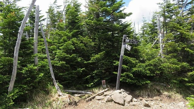 長野県南佐久郡の縞枯山
