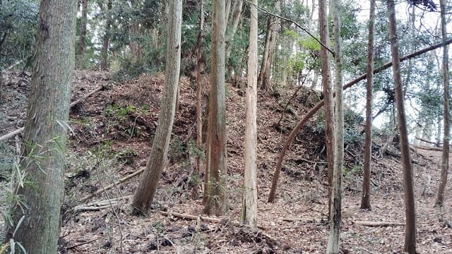 山梨県南巨摩郡の真篠城跡