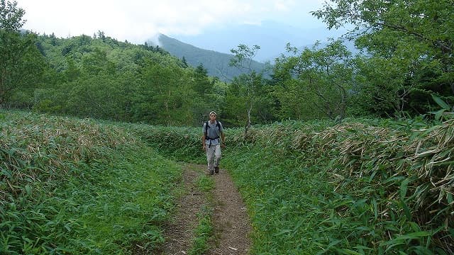 山梨県南巨摩郡の山伏登山道