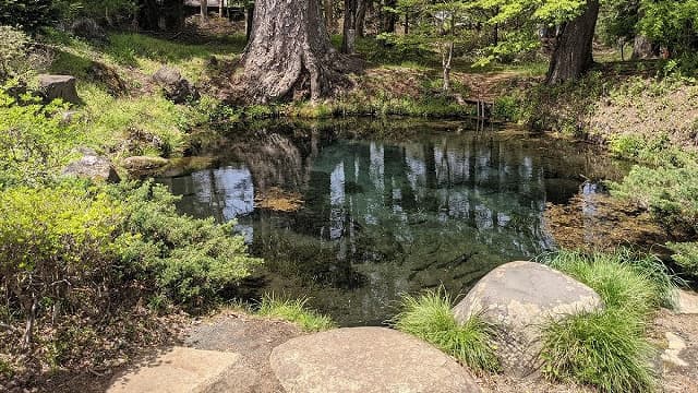 山梨県南都留郡の忍野八海（底抜池）