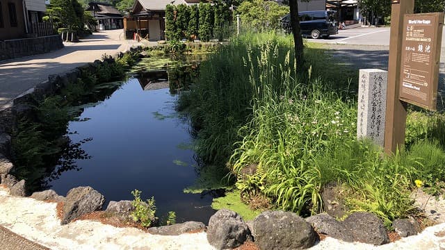 山梨県南都留郡の忍野八海（鏡池）