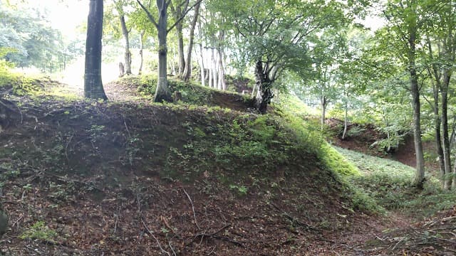 新潟県南魚沼郡の荒戸城跡