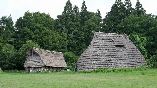 新潟県中魚沼郡の本ノ木・田沢遺跡群（本ノ木遺跡）