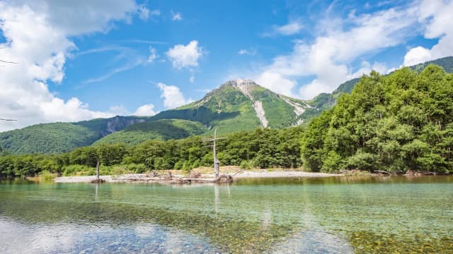 長野県松本市の上高地大正池