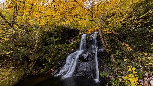 岐阜県高山市の宇津江四十八滝