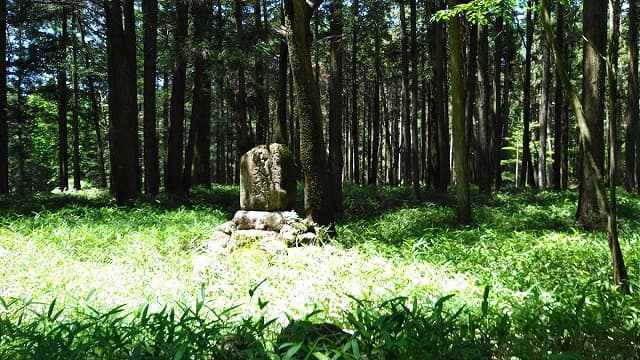 岐阜県下呂市の鳳慈尾山大威徳寺跡