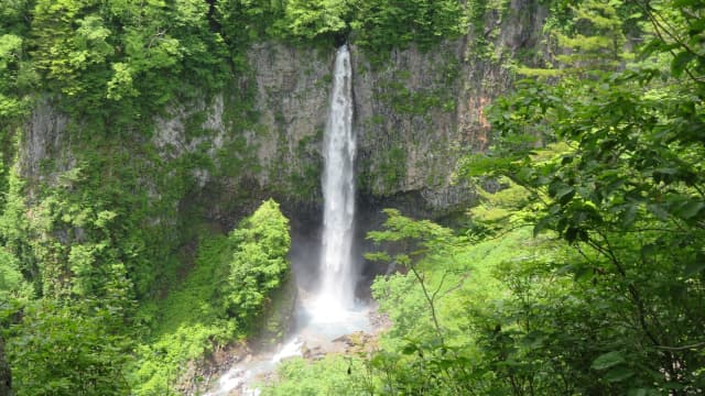 岐阜県大野郡の白水滝