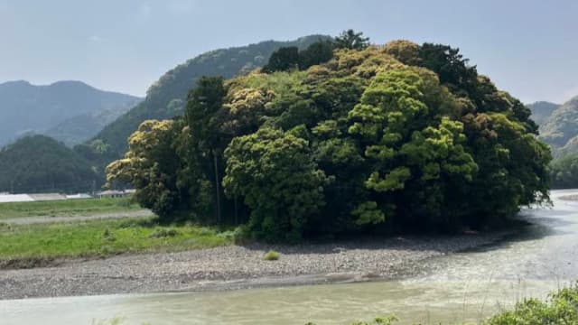 静岡県静岡市の木枯森