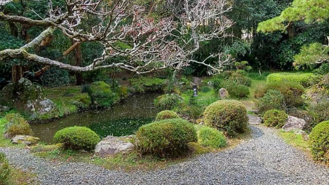 静岡県静岡市の柴屋寺庭園