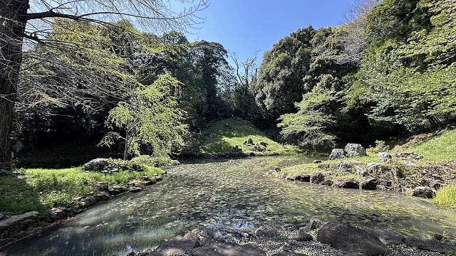 静岡県浜松市の大福寺庭園