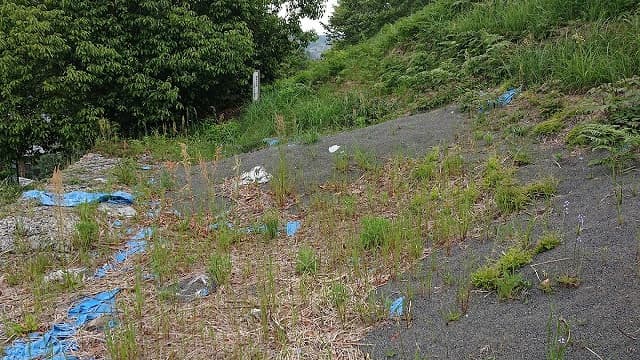 静岡県島田市の上志戸呂古窯跡