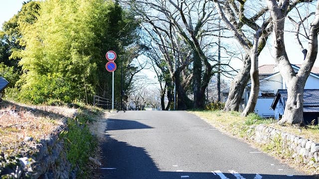 静岡県島田市の島田大堤