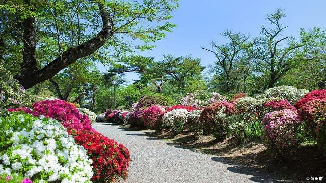 静岡県磐田市のつつじ公園