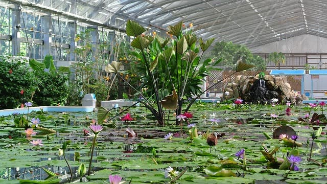 静岡県掛川市の掛川花鳥園