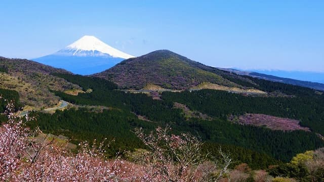 静岡県伊豆市の西伊豆スカイライン