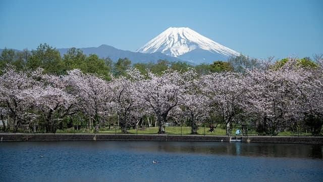 静岡県駿東郡の丸池公園
