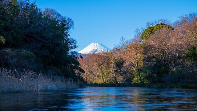 静岡県駿東郡の丸池公園