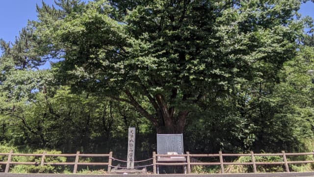 愛知県名古屋市の八幡山古墳
