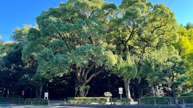 愛知県名古屋市の断夫山古墳