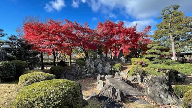 愛知県名古屋市の名古屋城二之丸庭園
