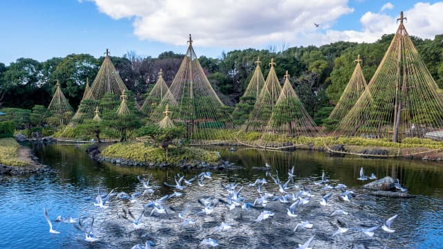 愛知県名古屋市の白鳥庭園