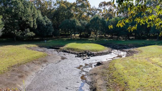 三重県伊賀市の城之越遺跡